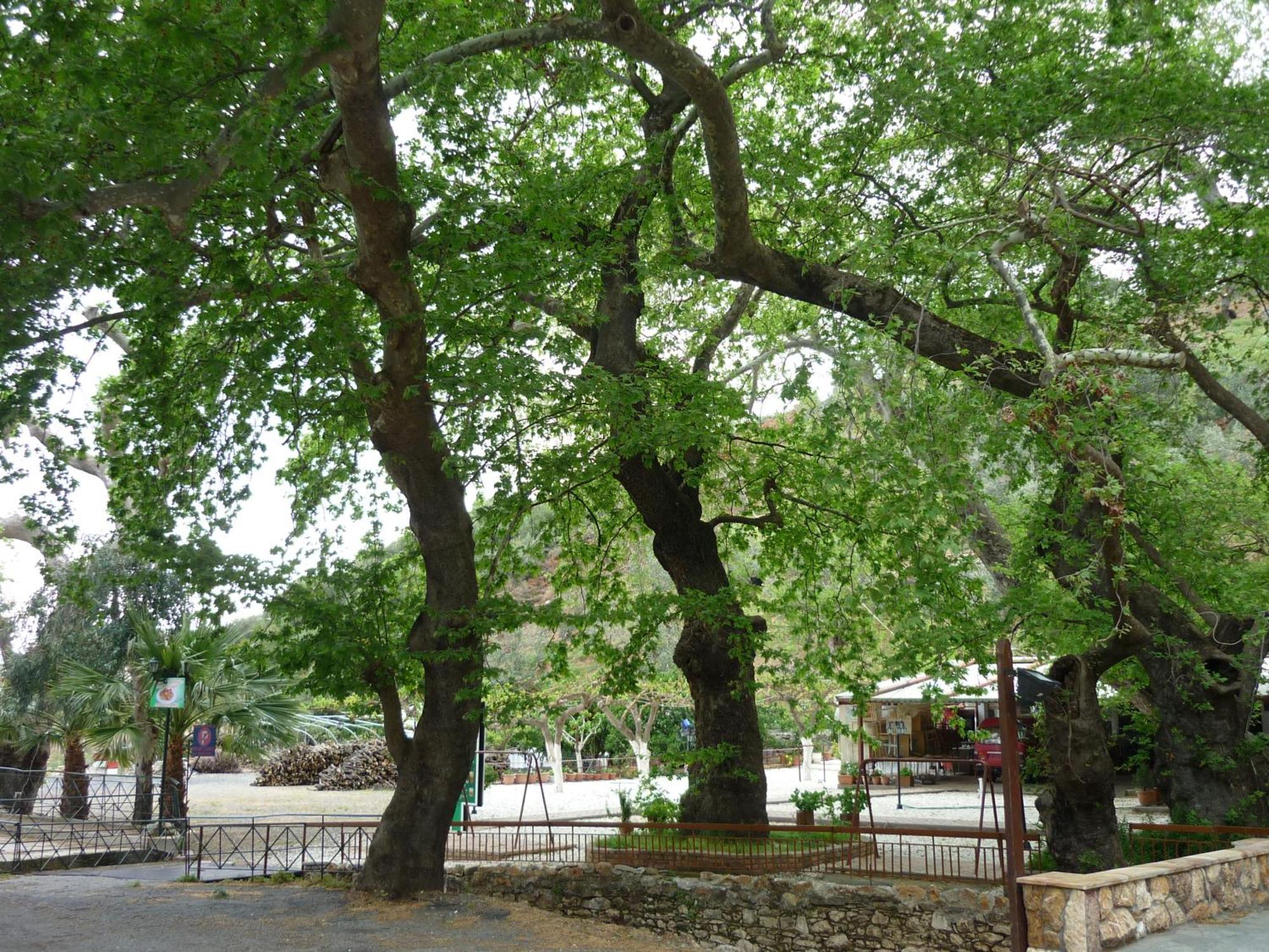Pagona Hotel Loutra Edipsou  Luaran gambar