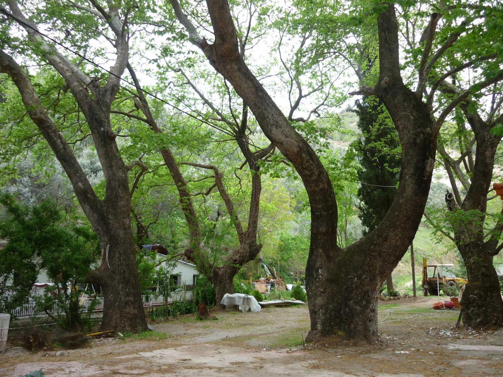 Pagona Hotel Loutra Edipsou  Luaran gambar